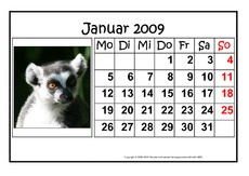 1-Januar-2009-quer.pdf